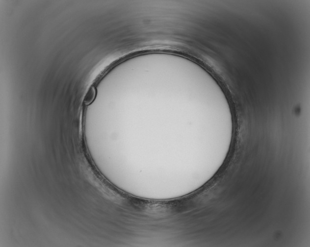 X0000116331275200912221412