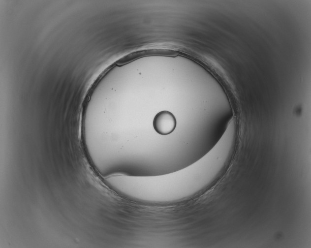 X0000116331276200912221412