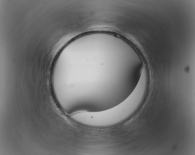 X0000116331277200912221412