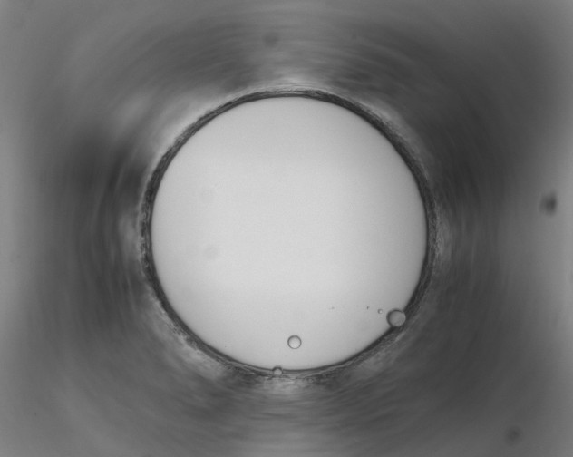 X0000116331278200912221412