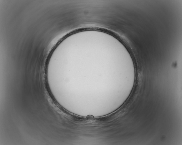 X0000116331279200912221412