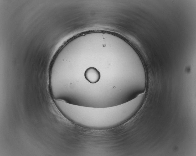 X0000116331280200912221412