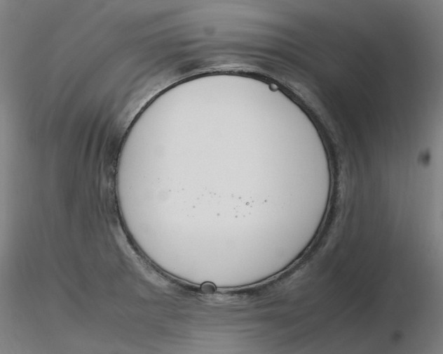 X0000116331281200912221412