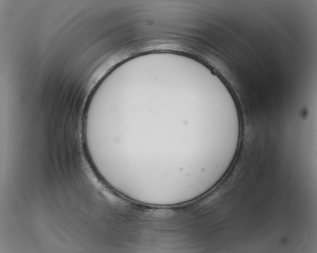 X0000116331282200912221412