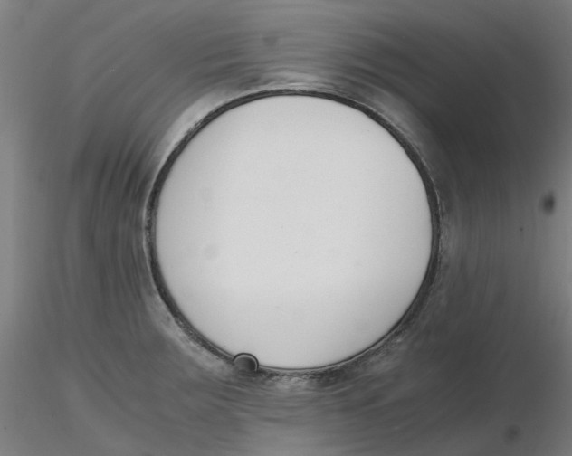 X0000116331283200912221412