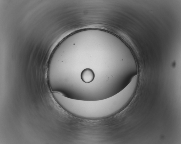 X0000116331284200912221412