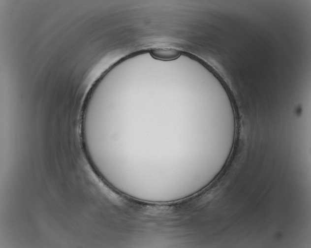 X0000116331285200912221412