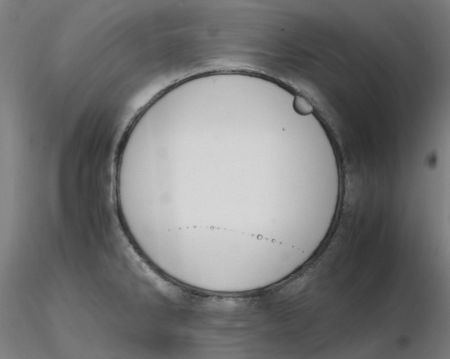 X0000116331286200912221412