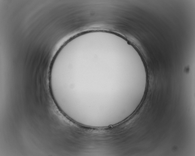 X0000116331288200912221412