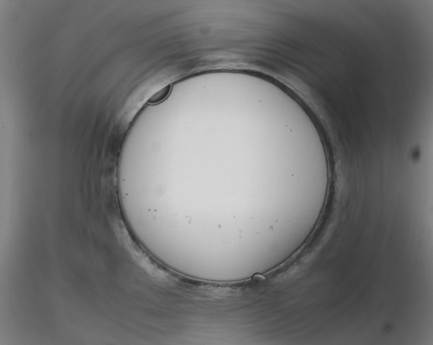 X0000116331289200912221412