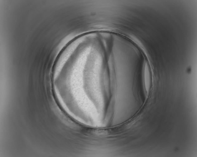 X0000116331291200912221412