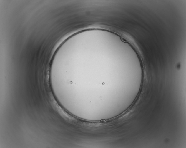 X0000116331292200912221412