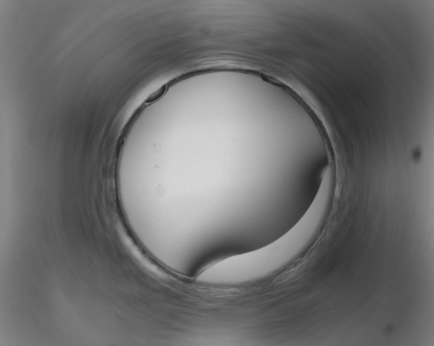 X0000116331293200912221412