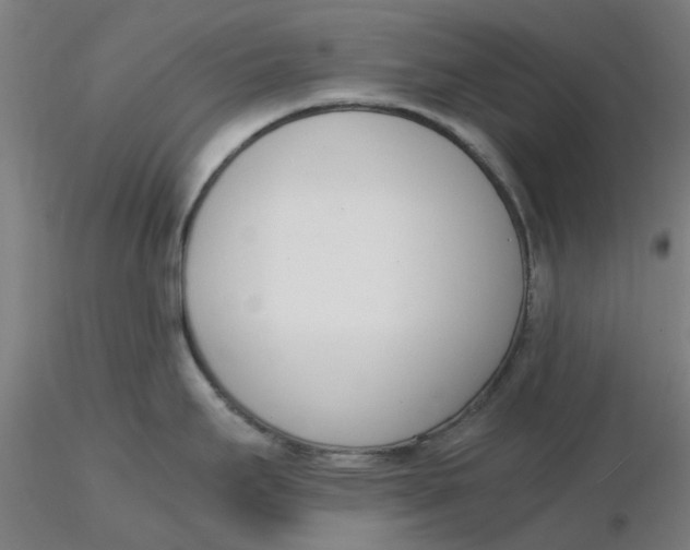 X0000116331295200912221412