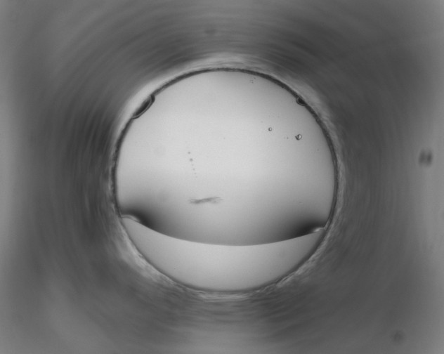 X0000116331296200912221412