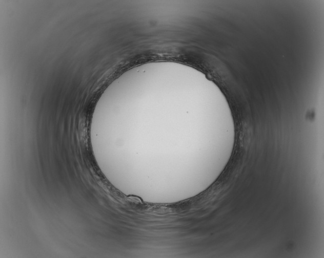 X0000116331298200912221411