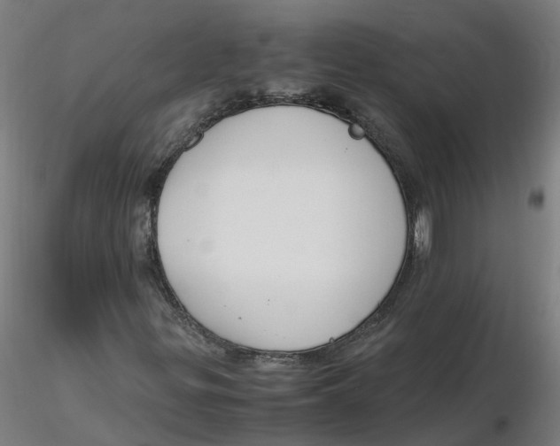 X0000116331299200912221411