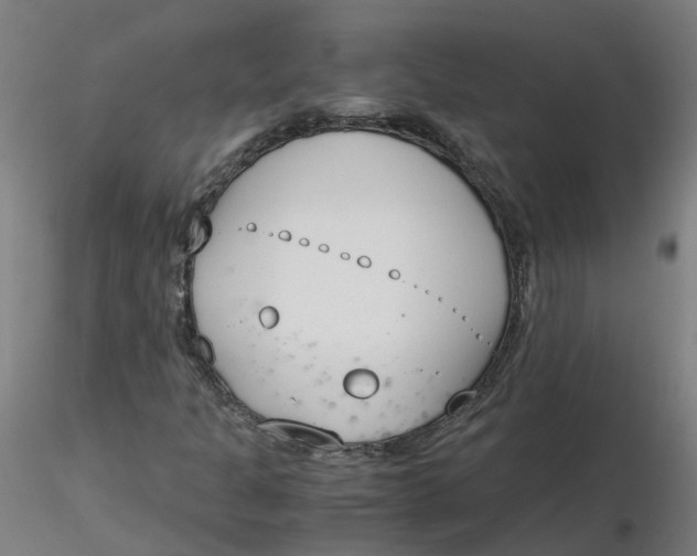 X0000116331301200912221411