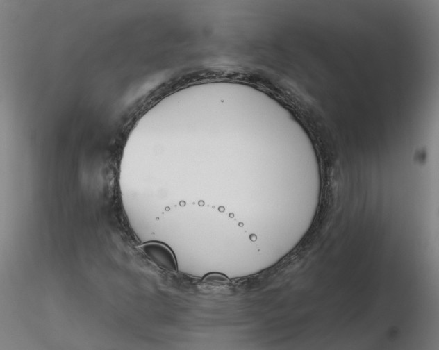 X0000116331302200912221411