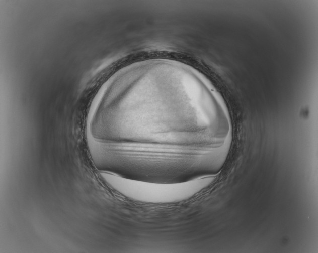 X0000116331303200912221411