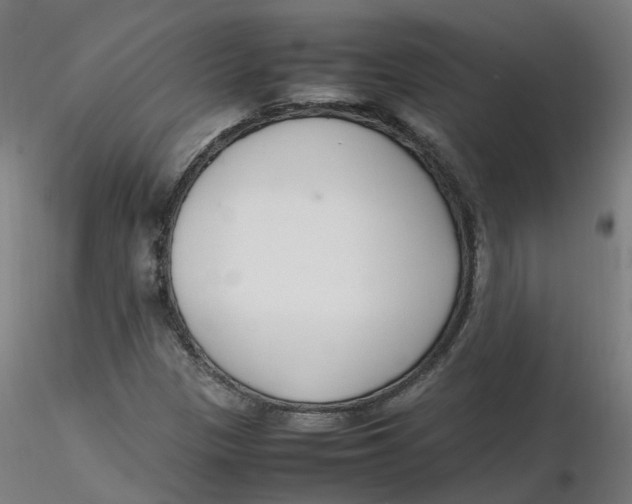 X0000116331305200912221411