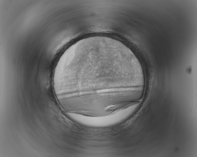 X0000116331306200912221411