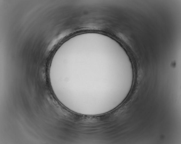 X0000116331307200912221411