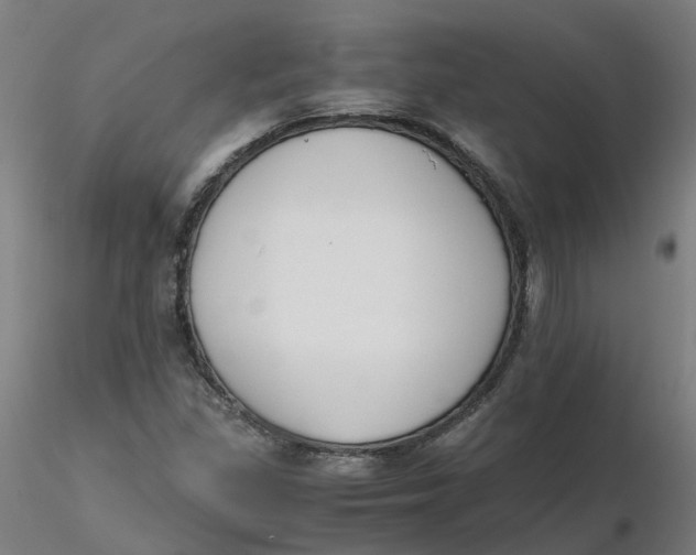 X0000116331309200912221411