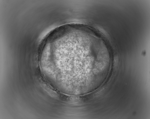 X0000116331310200912221411