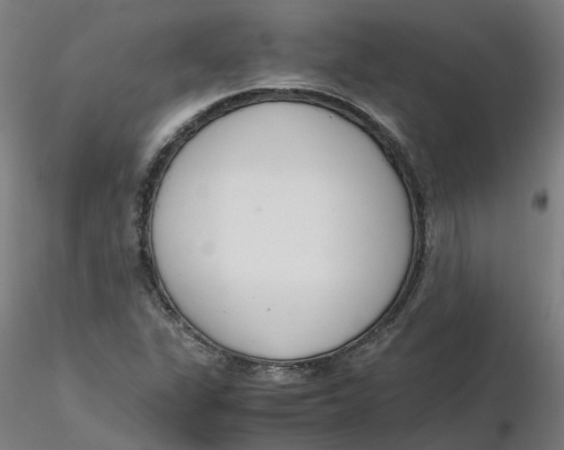 X0000116331311200912221411