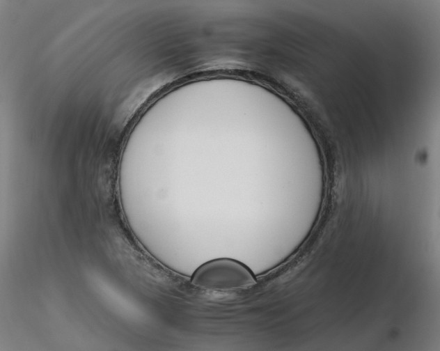 X0000116331313200912221411