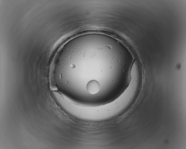 X0000116331314200912221411