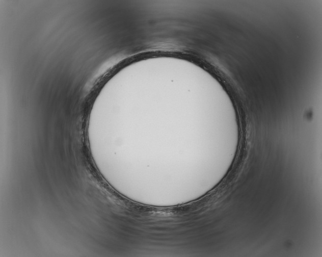 X0000116331315200912221411