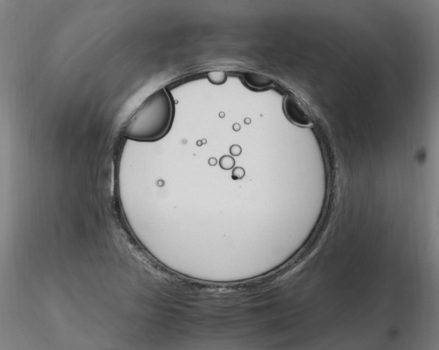 X0000116331317200912221412