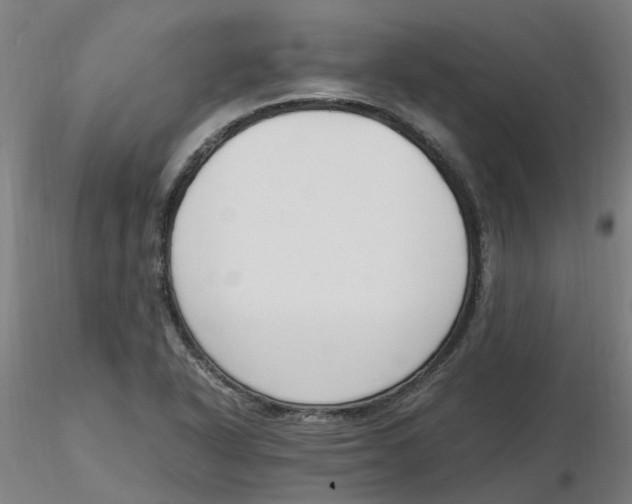 X0000116331318200912221412