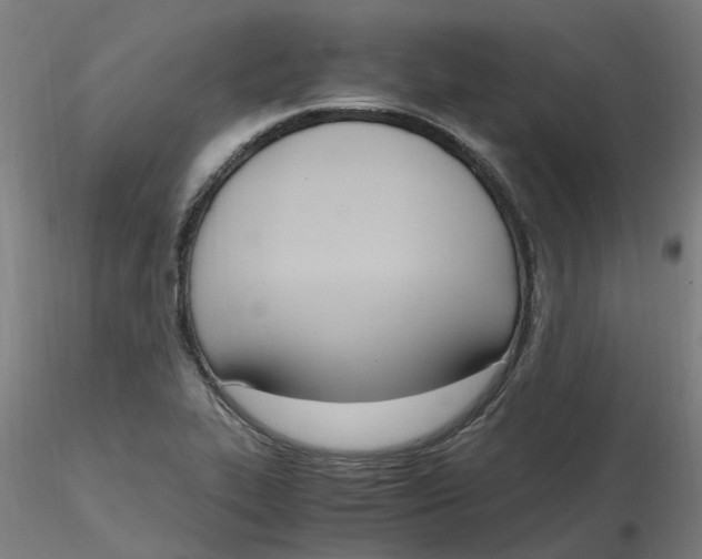 X0000116331319200912221412