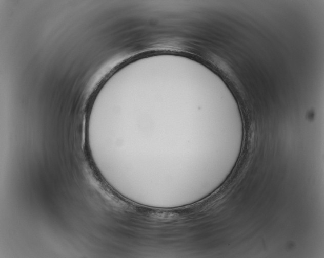 X0000116331323200912221412