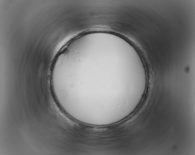 X0000116331325200912221412