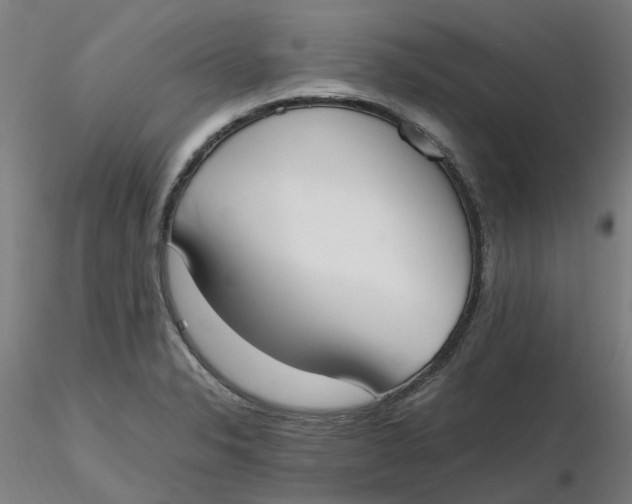 X0000116331326200912221412