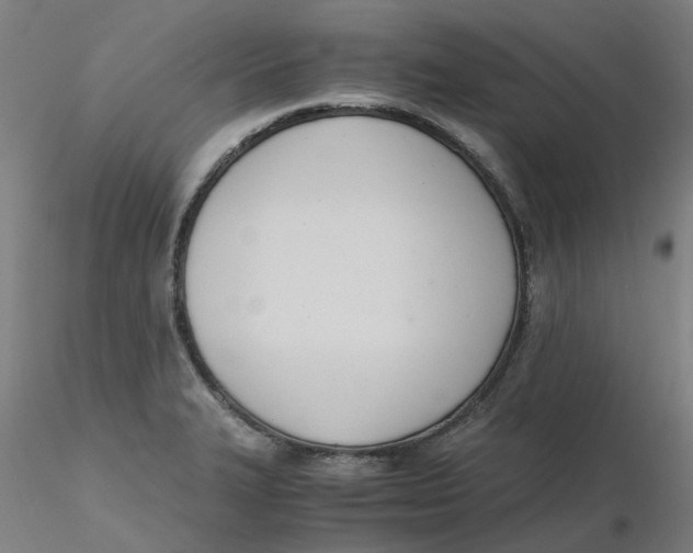 X0000116331327200912221412