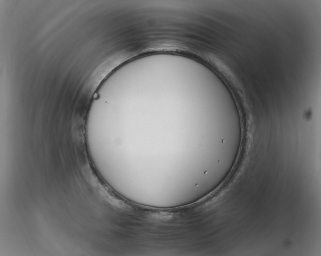 X0000116331329200912221412