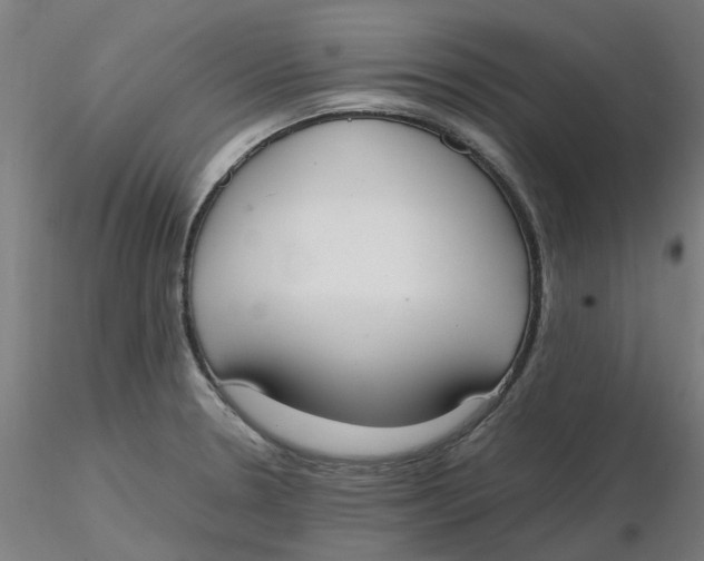 X0000116331330200912221412