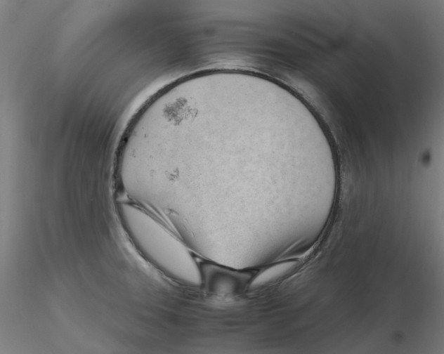 X0000116331331200912221412