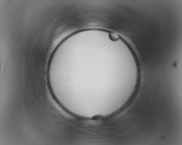 X0000116331333200912221412