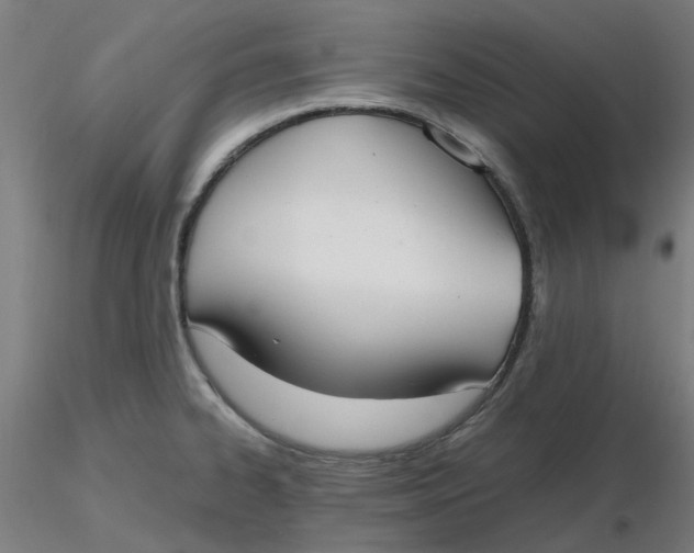 X0000116331334200912221412