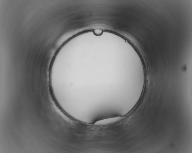 X0000116331335200912221412