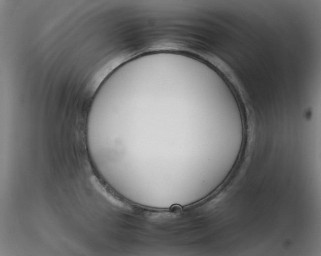 X0000116331337200912221412