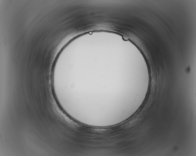 X0000116331339200912221412