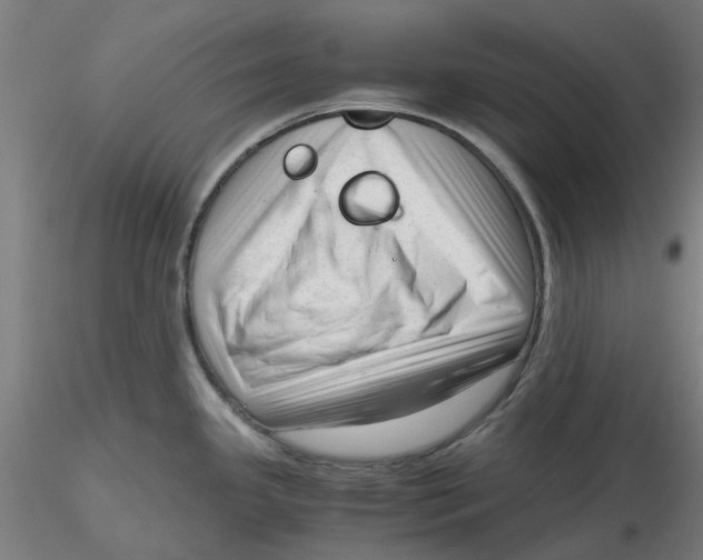 X0000116331341200912221412