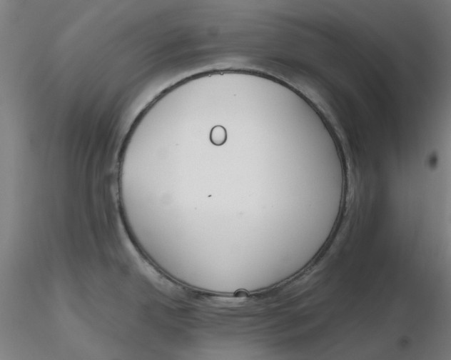 X0000116331342200912221412